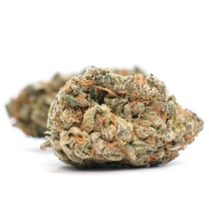 Chocolate Thai Strain