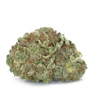 Freedom Dream Strain