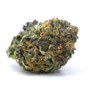 Purple Dream