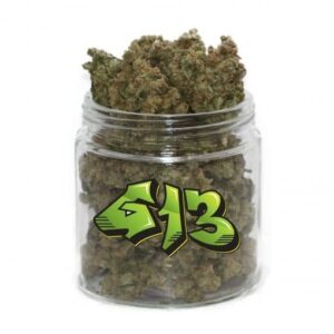 G13 Strain