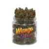 Mango Haze