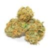 Organic Jack Herer